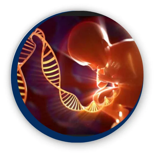 fetal-medical