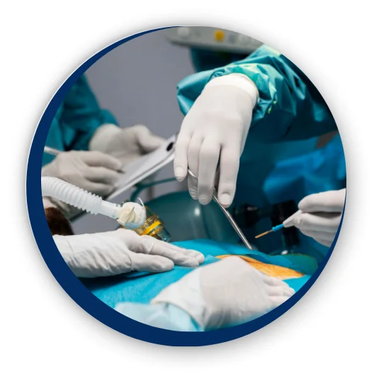 generalsurgery2
